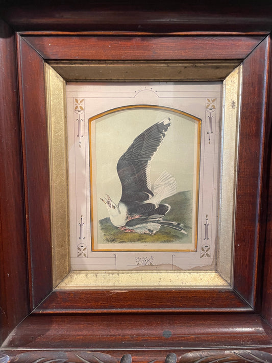 John James Audubon Eagle Print